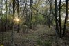 Зелёная зона в ст.Пластуновской (29)