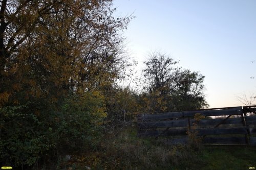 Зелёная зона в ст.Пластуновской (28)