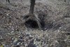 Колок на кургане (дополнительная потенциальная ООПТ): нора лисицы или барсука