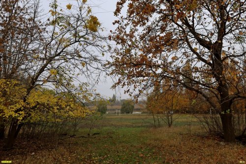 Зелёная зона в ст.Пластуновской (46)