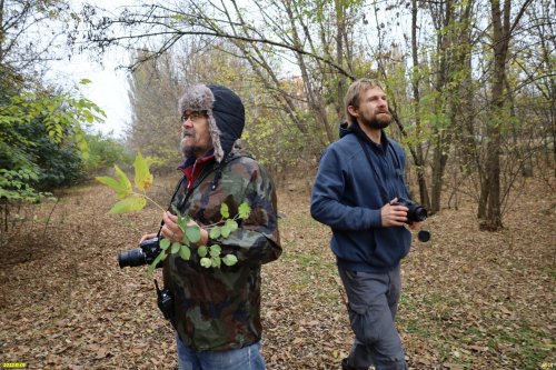 Активисты ЭВСК на обследовании зелёной зоны в ст.Пластуновской (46) 