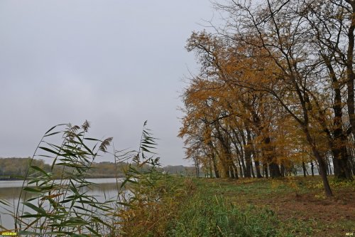 Зелёная зона в ст.Пластуновской (41)
