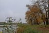 Зелёная зона в ст.Пластуновской (41)