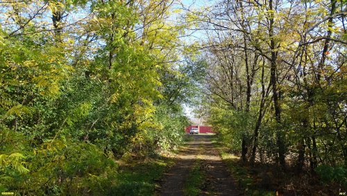 Зелёная зона в ст.Пластуновской (11)
