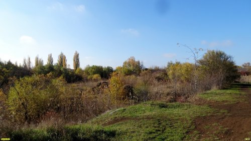 Зелёная зона в ст.Пластуновской (11)