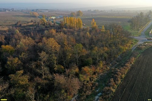 Зелёная зона в с.Гай-Кодзор (дополнительная-1), восточная часть