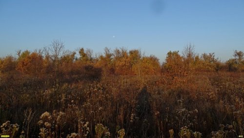 Зелёная зона в с.Гай-Кодзор (дополнительная-1)