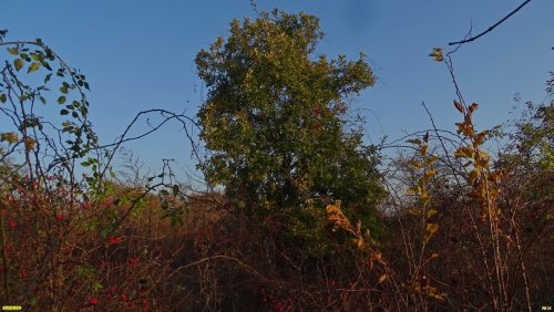 Зелёная зона в с.Гай-Кодзор (дополнительная-1)