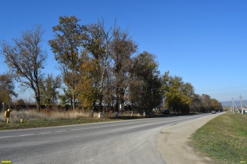 Зелёная зона в с.Гай-Кодзор (дополнительная-2)