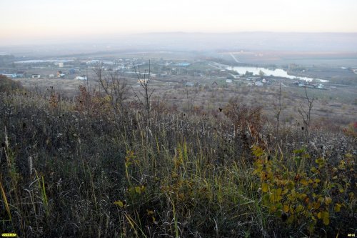 Гай-Кодзорский лес: луга на северном склоне