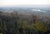 Гай-Кодзорский лес: луга на северном склоне
