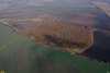 Южно-Гостагаевский лес, вид с запада