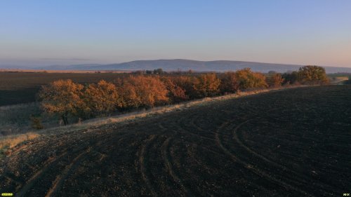 Южно-Гостагаевский лес: южная часть