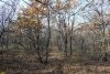 Южно-Гостагаевский лес: внутренняя дорога