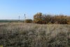Южно-Гостагаевский лес: западная поляна