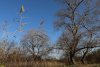 Зелёная зона в г.Краснодар (1)