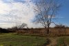 Зелёная зона в г.Краснодар (1)