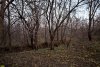 Зелёная зона в п.Октябрьский (4): щель Крутенко