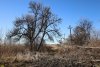 Перспективная зелёная зона Краснодар (2) 