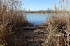 Перспективная зелёная зона Краснодар (2) 