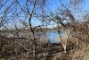 Перспективная зелёная зона Краснодар (2) 