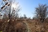 Перспективная зелёная зона Краснодар (2) 