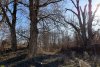 Перспективная ООПТ Северные Киргизские плавни
