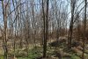 Перспективная ООПТ Северные Киргизские плавни
