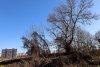 Перспективная ООПТ Северные Киргизские плавни
