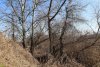 Перспективная зелёная зона в г.Краснодар (3) примыкает с юга к территории автодрома
