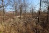 Перспективная зелёная зона в г.Краснодар (3)