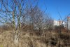 Перспективная зелёная зона в г.Краснодар (3)