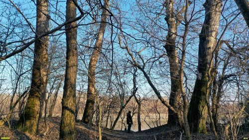 Перспективная ООПТ Лес в излучине Кубани