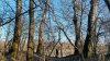 Перспективная ООПТ Лес в излучине Кубани