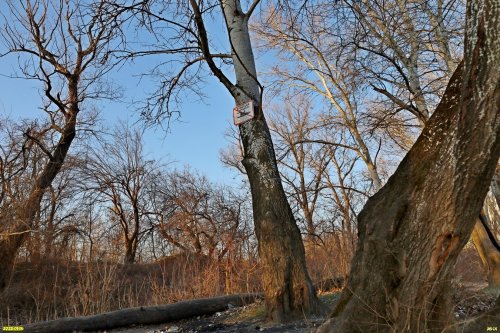 Перспективная ООПТ Лес в излучине Кубани