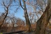 Перспективная ООПТ Лес в излучине Кубани