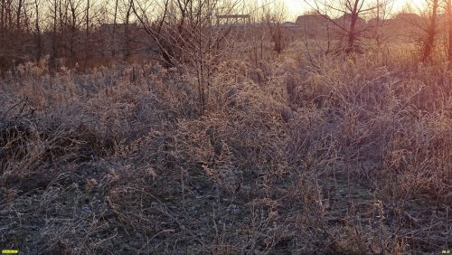 Перспективная ООПТ Пойма реки Белой