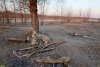 Перспективная ООПТ Пойма реки Белой