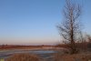 Перспективная ООПТ Пойма реки Белой