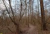 Перспективная ООПТ Приречный лес