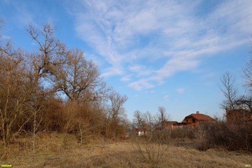 Перспективная ООПТ Приречный лес