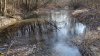 Перспективная ООПТ Пшехский лес