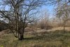 Перспективная ООПТ Пшехский лес