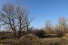 Перспективная ООПТ Пшехский лес