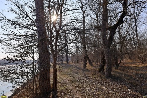 Перспективная ООПТ Пшехский лес