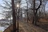 Перспективная ООПТ Пшехский лес