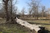 Перспективная ООПТ Пшехский лес