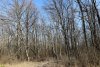 Перспективная ООПТ Долина реки Чибрик
