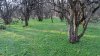 Перспективная ООПТ Подгорный лес