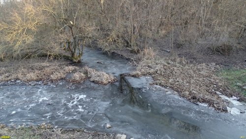 Перспективная ООПТ Подгорный лес